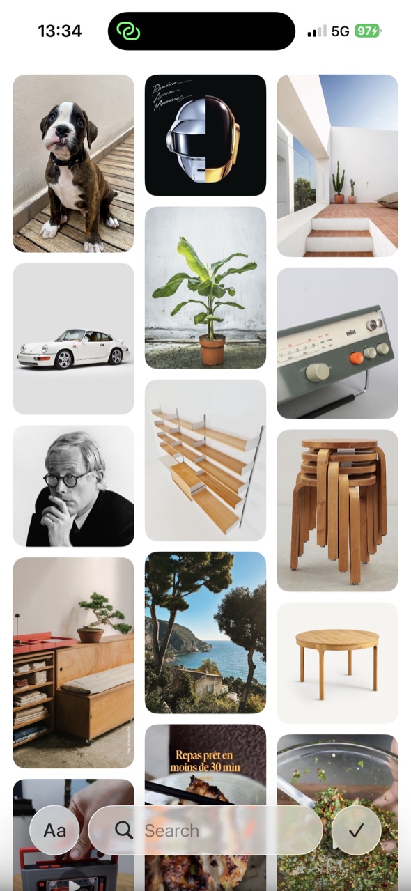 Pinpin moodboard on iPhone — collection view
